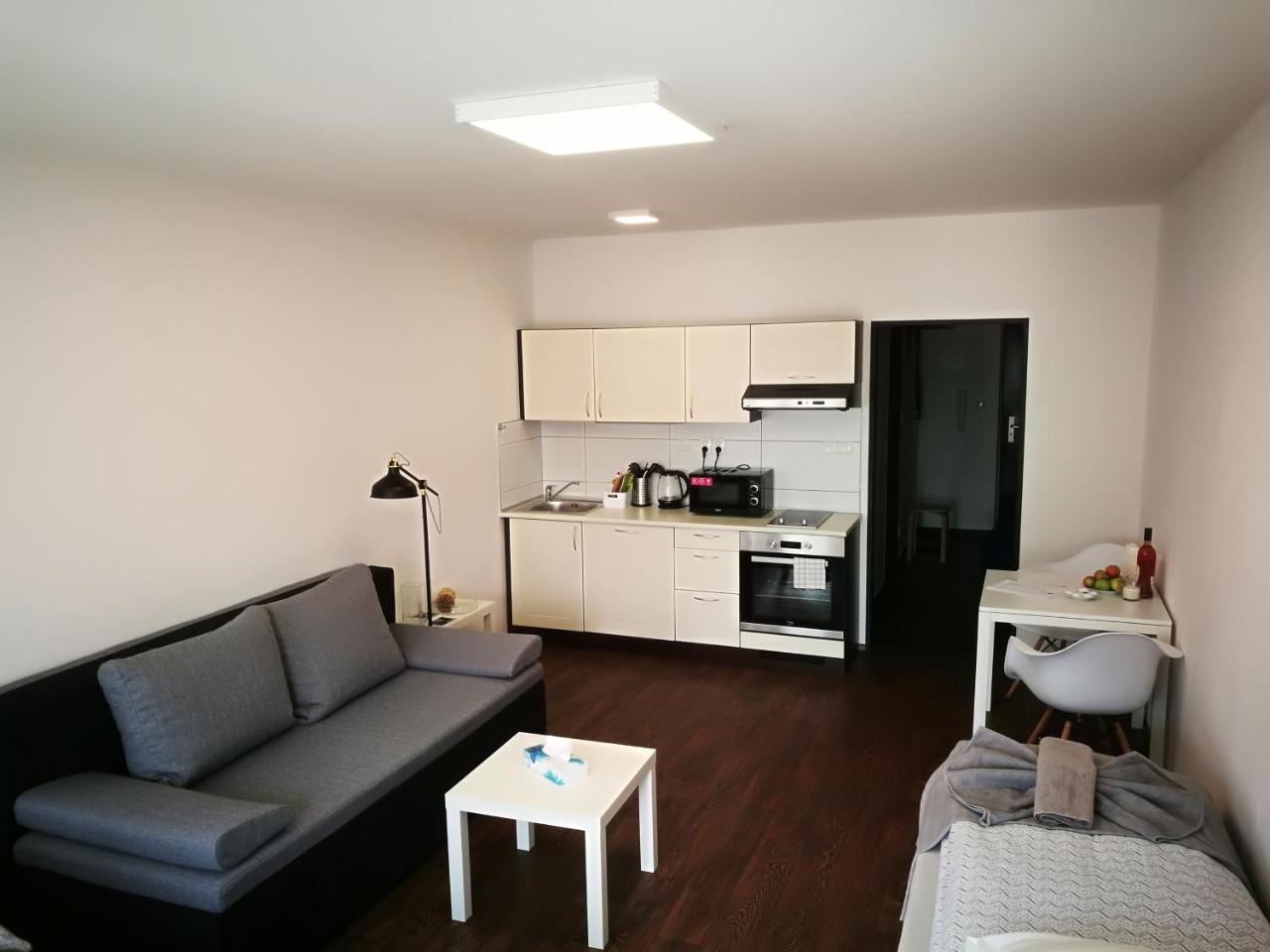 Haas Apartments Downtown With Parking Brünn Exterior foto